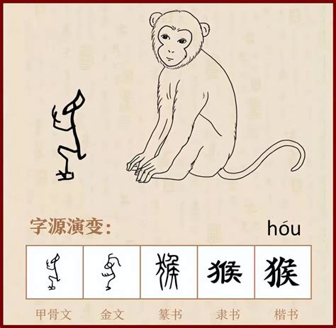 猴字|汉字“猴”的起源、演变过程